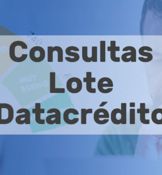 consulta lote